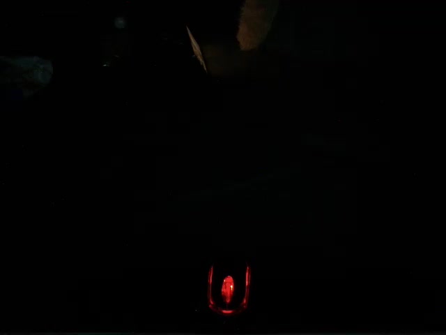 sexxytracy Adult Chat October 18, 2026