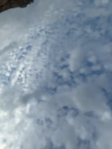 Mona_Plus Adult Chat October 18, 2026