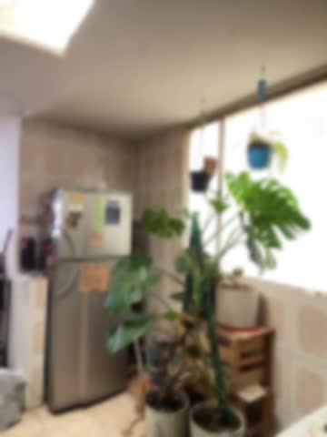 -Cattleya- Adult Chat October 19, 2026