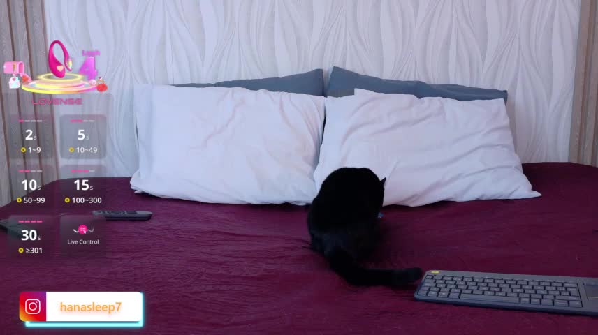 _ashleymiller Adult Chat October 19, 2026