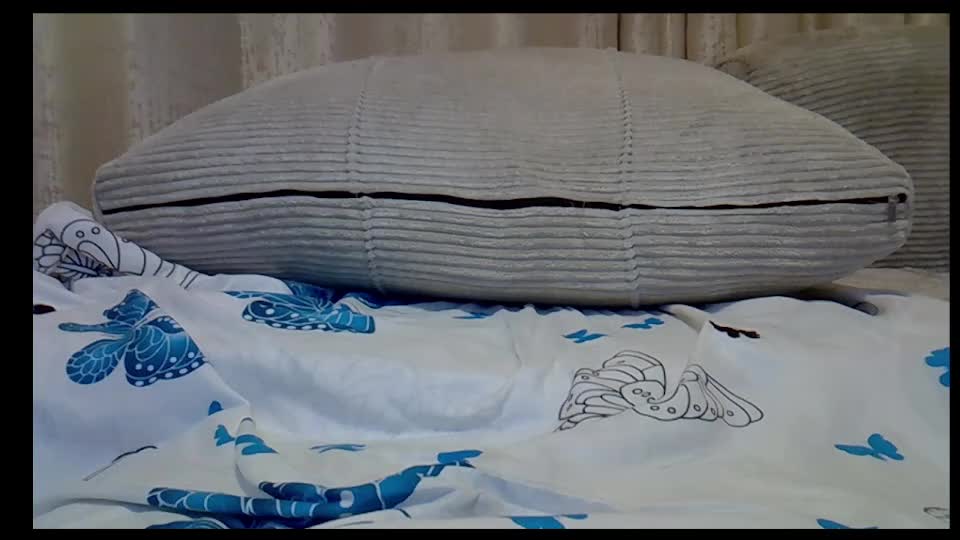 Midnightpussy5 Adult Chat October 20, 2026