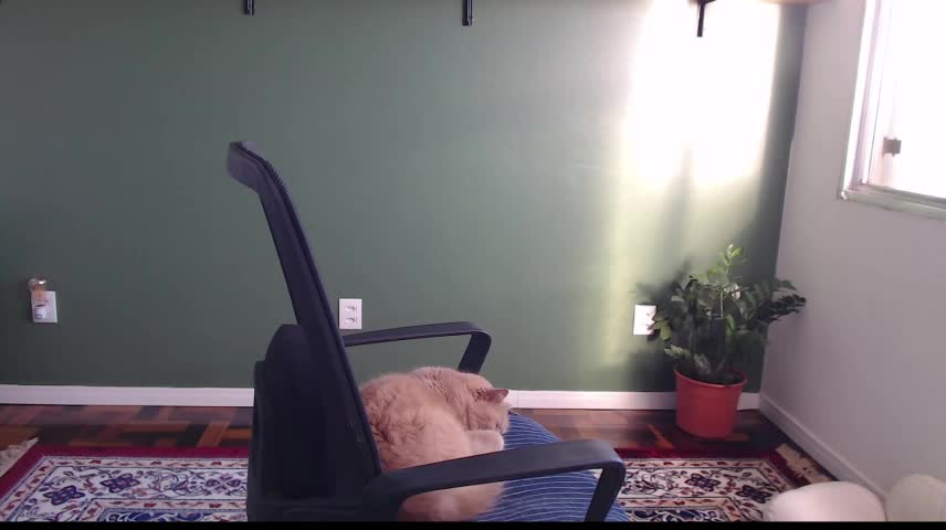 callmedemme Adult Chat October 23, 2026