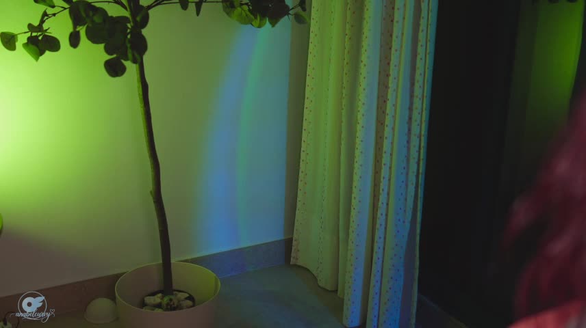 anabelcurvy Adult Chat October 24, 2026