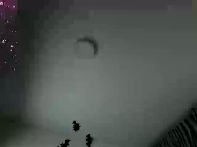 Velvet_Roseee Adult Chat October 25, 2026