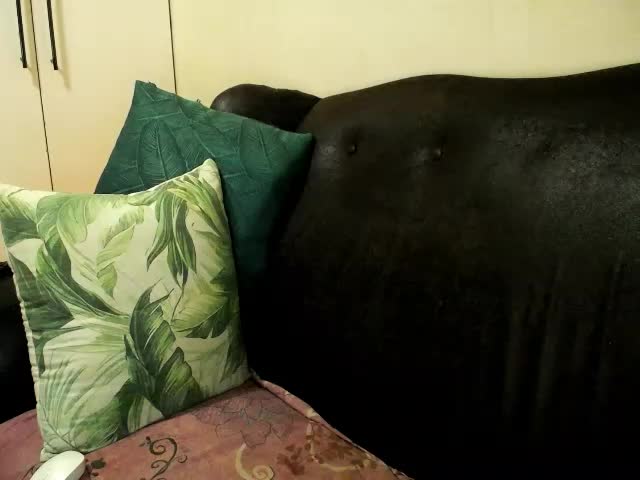 bustylaura4u Adult Chat October 26, 2026